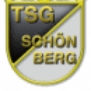 (c) Tsg-schoenberg.de